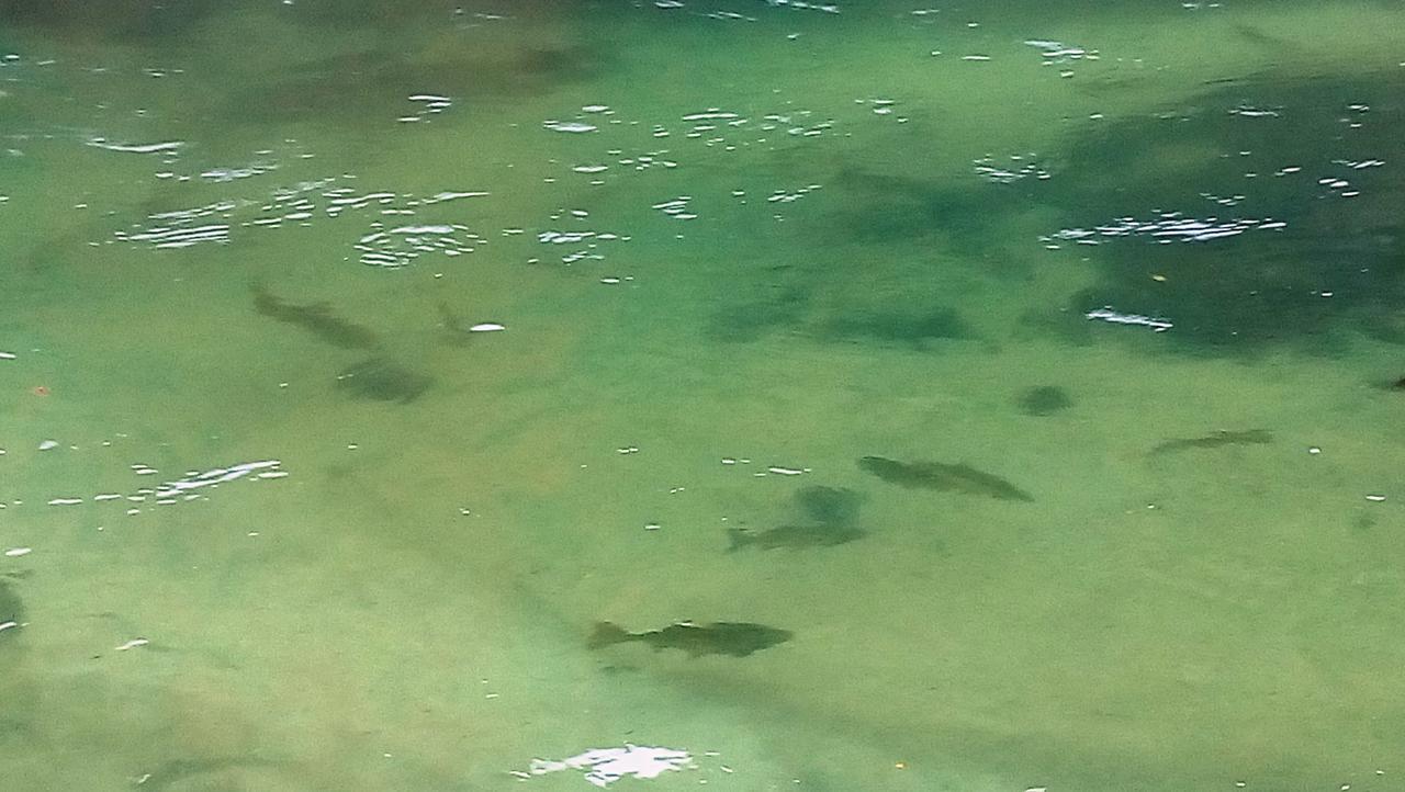 Una Canyon Paradise Bihać 외부 사진